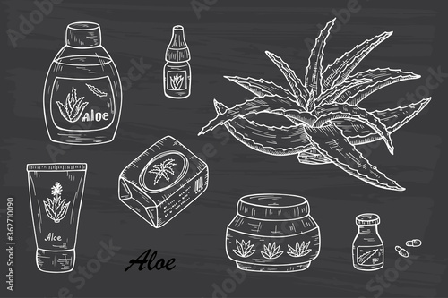 Health and beauty Vector set: Cosmetic bottles and packaging. Hand drawn Aloe cosmetics and Aloe Vera plant. Alternative medicine, treatment and body care with aloe ingredients. Vector illustration
