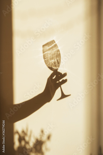 Shadow of a hand with a glass of wine on the light wall