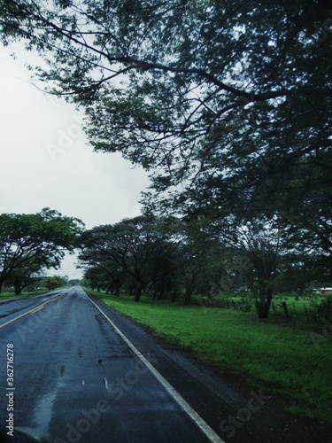 Wallpaper Mural Carretera y lluvia Torontodigital.ca