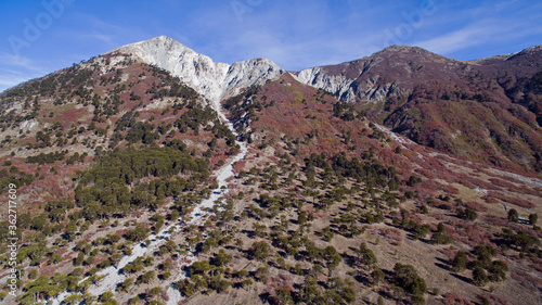 Fall colors. Aerial view of hill Impodi, with a white granite peak, the forest foliage of Araucaria araucana, valley and mountains. © Gonzalo