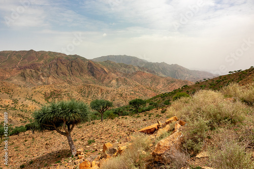 エチオピア・ダナキル砂漠ツアーの途中で見た、アフリカの原風景
