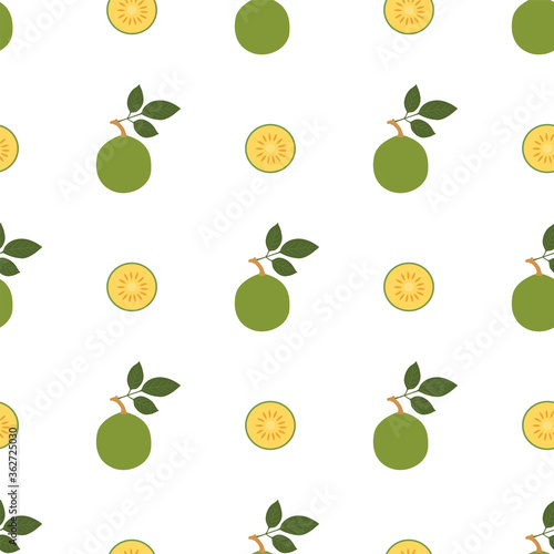 Bael fruit.Seamless Vector Patterns  photo