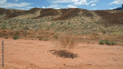 A tumbleweed blowing past in a desolate desert area