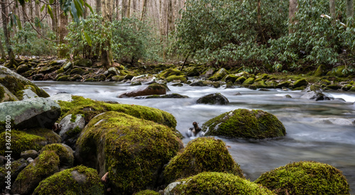 Little River Rushes Past Mossy Boulders