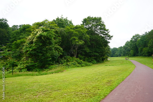 芝生の美しい公園　芝生　公園　初夏　散歩 © Yuko