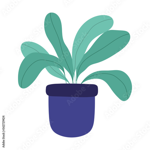 potted plant decoration leaves isolated design icon white background