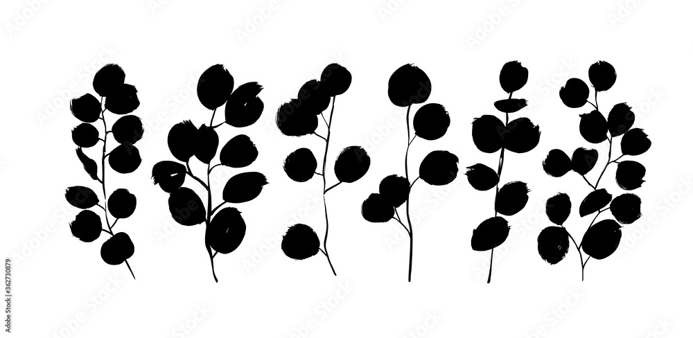 Eucalyptus branches with round leaves vector collection. Set of black ...