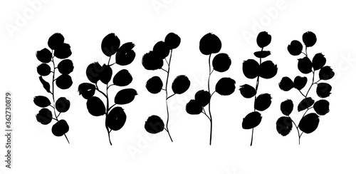 Eucalyptus branches with round leaves vector collection. Set of black silhouettes leaves and branches. Hand drawn eucalyptus foliage, brush twigs. Vector ink elements isolated on white background.