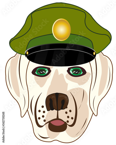 Vector illustration of the head animal dog f service cap