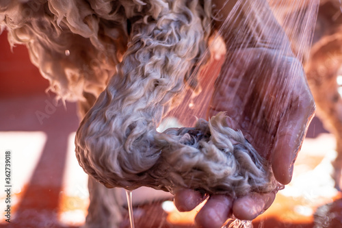 a hands rinsing the dog paw