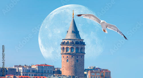 Galata Tower with flying seagull in the background bright blue sky with full moon -  Istanbul, Turkey 