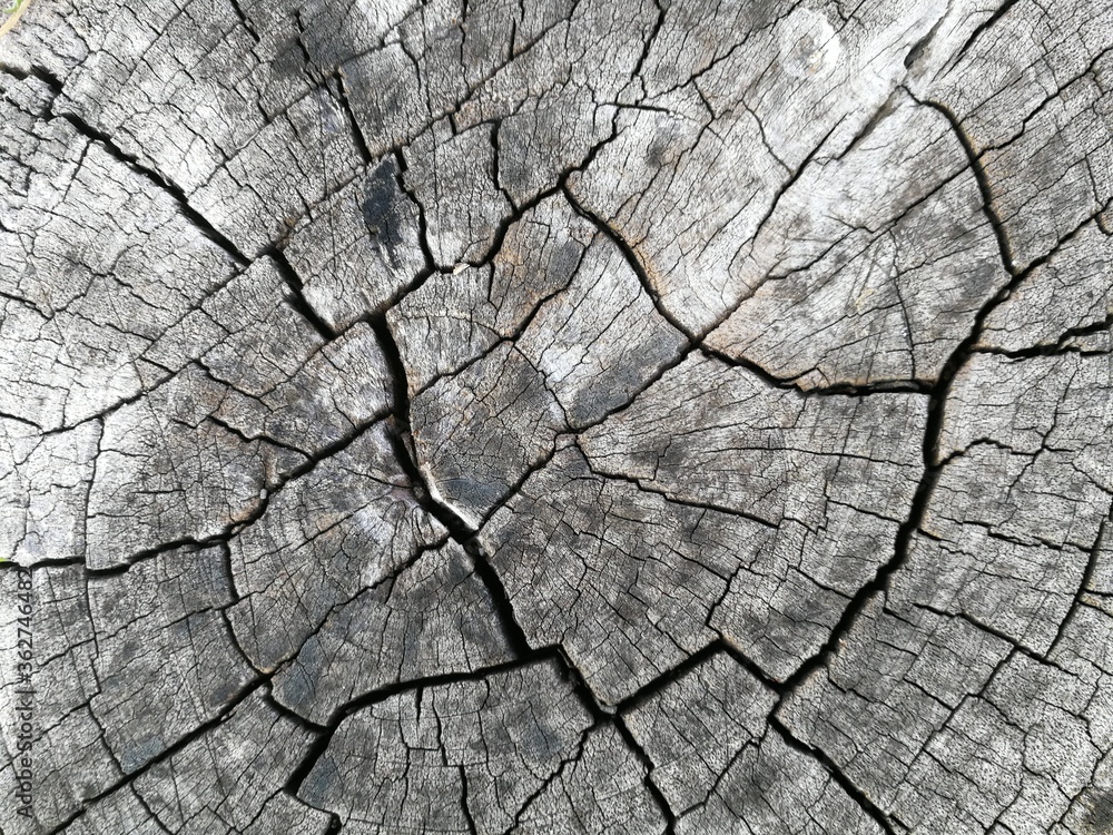 old wood texture old wood texture
