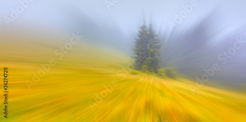 Motion blur effect - Pokut Plateau with misty mountain - Rize, Turkey photo