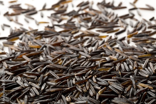 Macro close up of uncooked, raw, black wild rice grains on white background