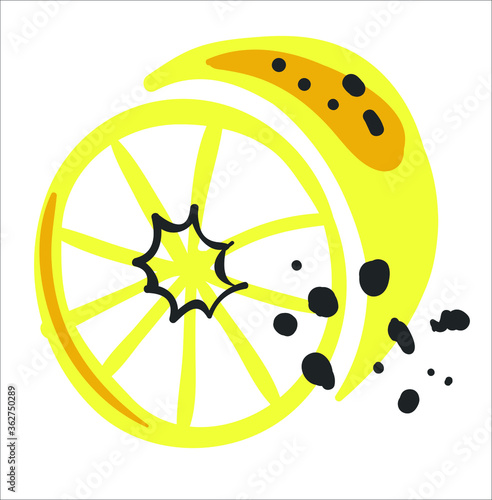 drawing of sour yellow lemon and lime, vector fruit illustration, ligotype and design, photo