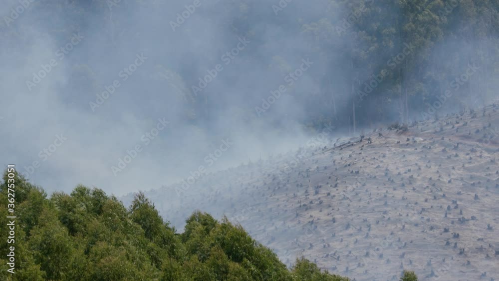 Fire Smoke Above Savanna. Full Frame Slow Motion of Bushfire Fumes ...