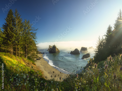 Sea stacks and wildflowers at the Oregon Coast with fog covering ocean photo