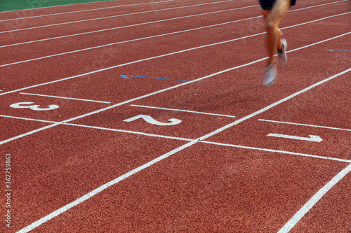 legs of a long distance runne