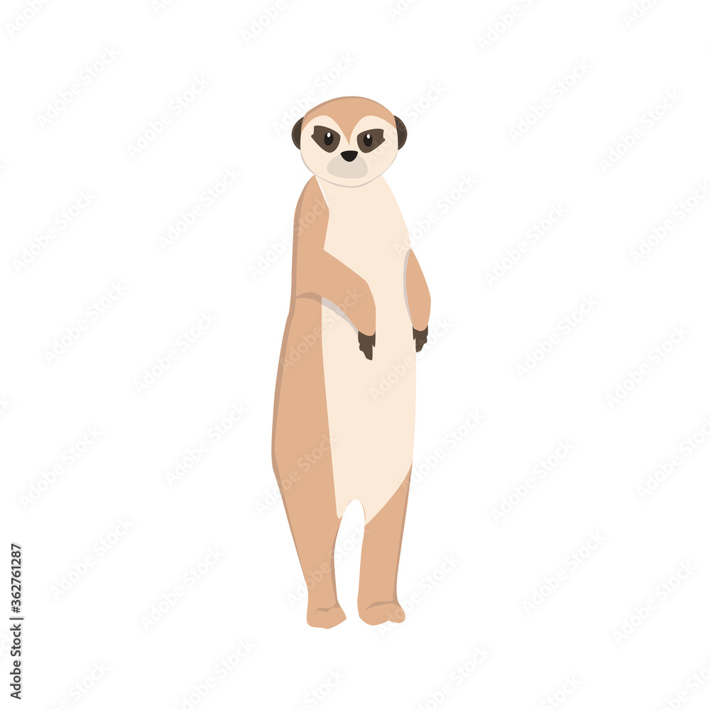 Meerkat Illustration Meerkat Illustration
