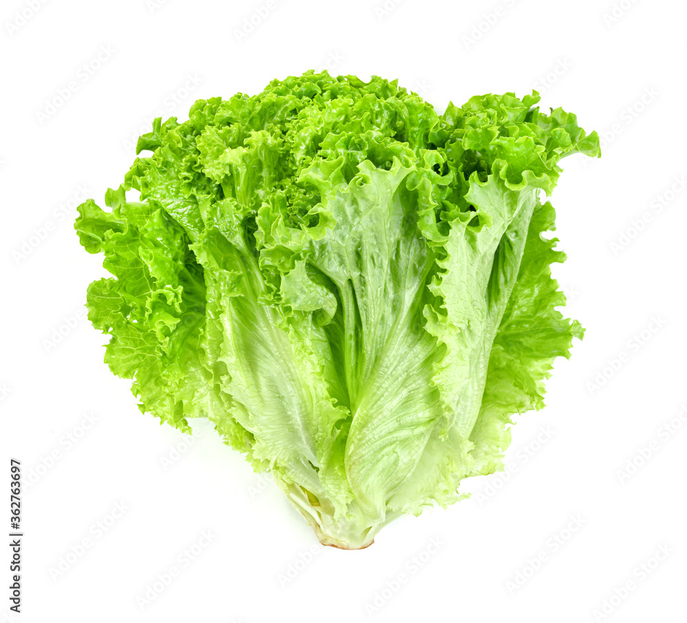 Lettuce leaf isolated on white background ,Green leaves pattern ,Salad ingredient Lettuce leaf isolated on white background ,Green leaves pattern ,Salad ingredient