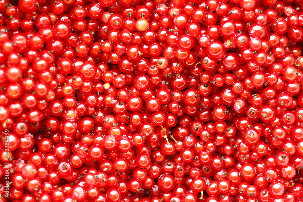 Red currant berries as a beautiful natural background. Red currant berries as a beautiful natural background.