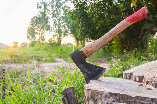 Old hatchet or ax on brown stump wood in evening forest close-up. photo