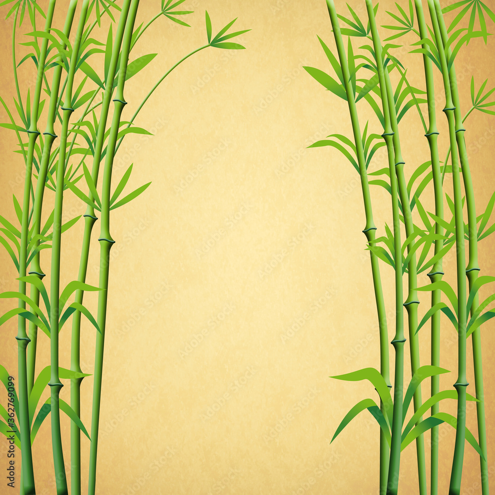 Fototapeta Bamboo Branches Background Ready for design.