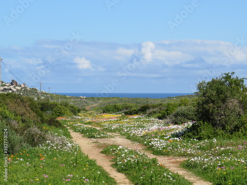 West Coast National Park, Cape Town, South Africa