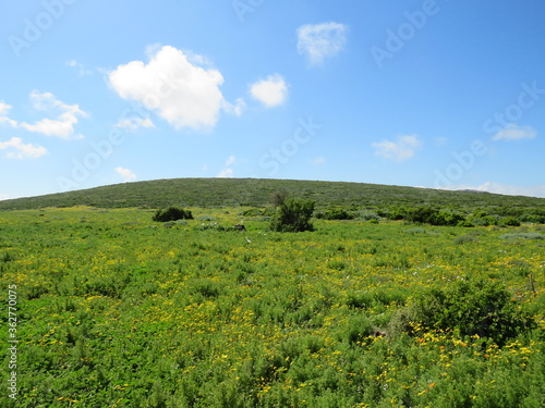 West Coast National Park, Cape Town, South Africa