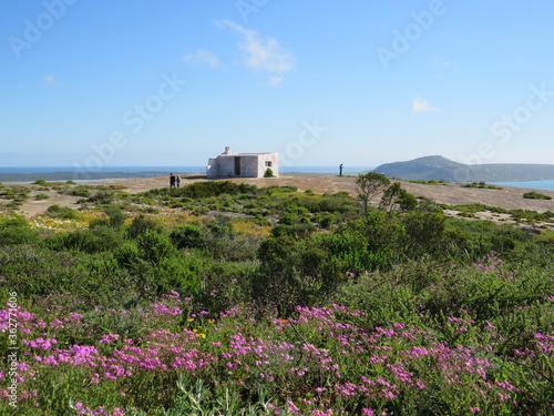West Coast National Park, Cape Town, South Africa