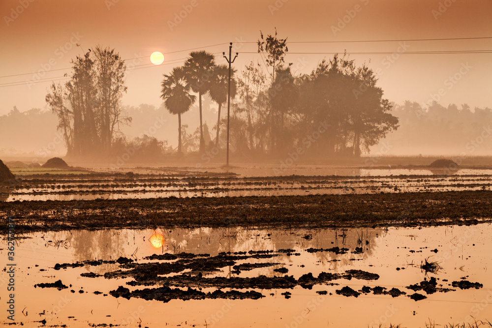 Beautiful foggy or misty landscape with sunrise and morning golden lights