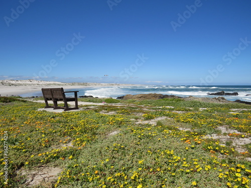 West Coast National Park, Cape Town, South Africa photo