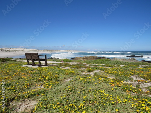 West Coast National Park, Cape Town, South Africa