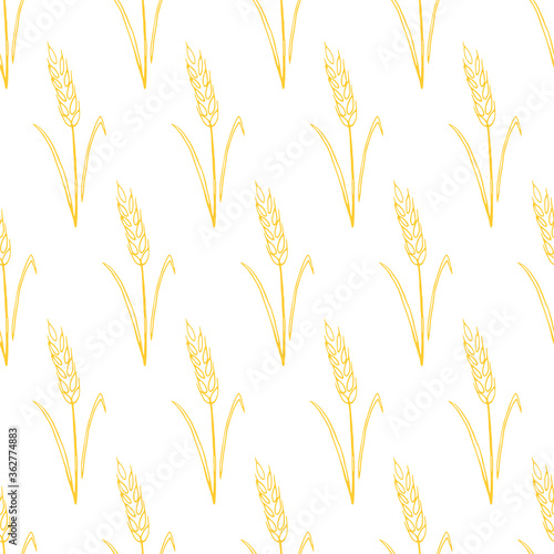Wheat spikelets, vector seamless pattern. Outline drawn in sketch style. Autumn backgrounds and texture. Design of fabric, wrapping paper, packaging on the theme of bakery products, flour, harvest
