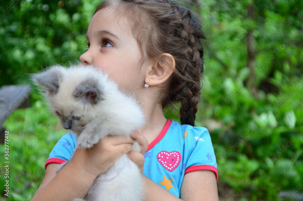 Little girl with a kitten in hands close up. Best friends. Interaction of children with pets. Little girl with a kitten in hands close up. Best friends. Interaction of children with pets.