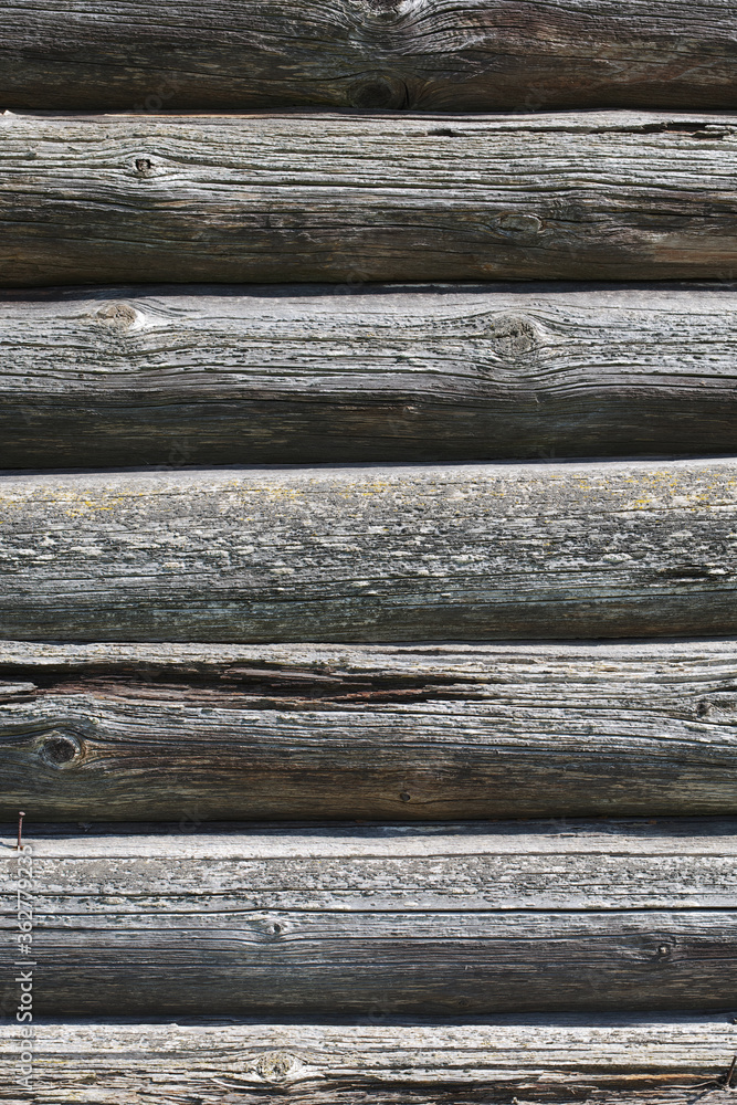 Wall of old logs Wall of old logs
