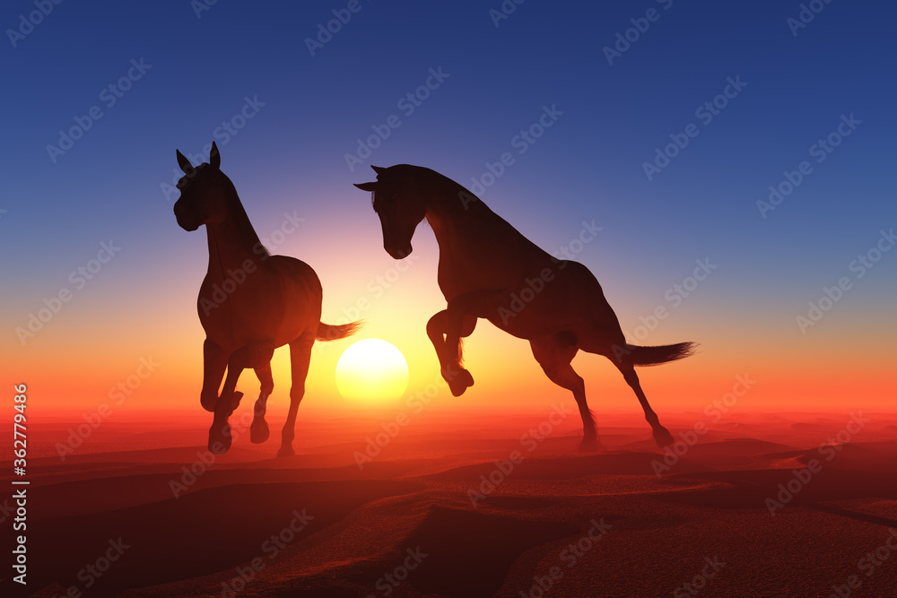Horses at sunset. Horses at sunset.