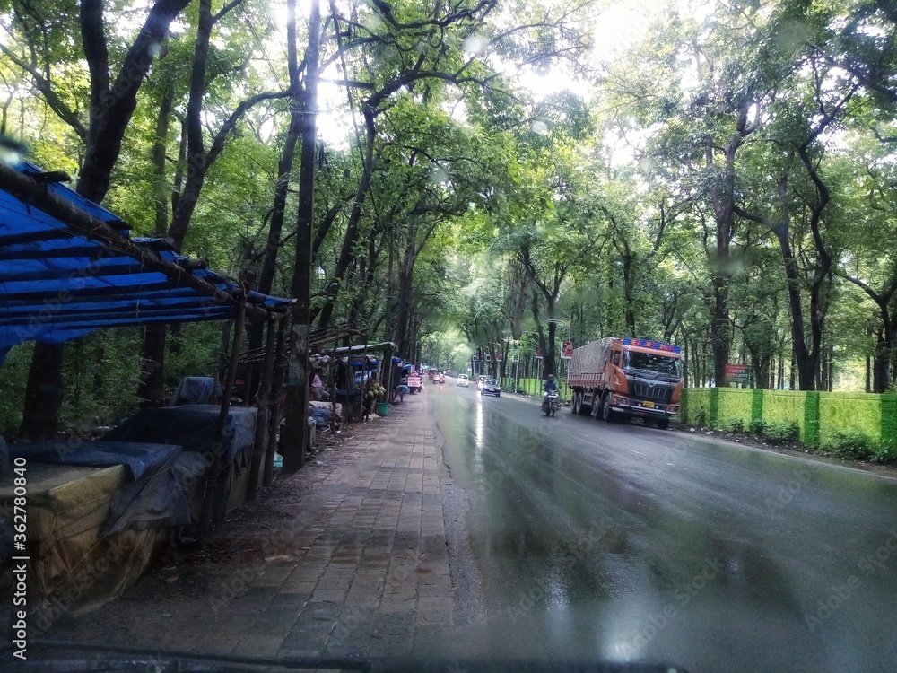 Drive through Forests of western Ghat