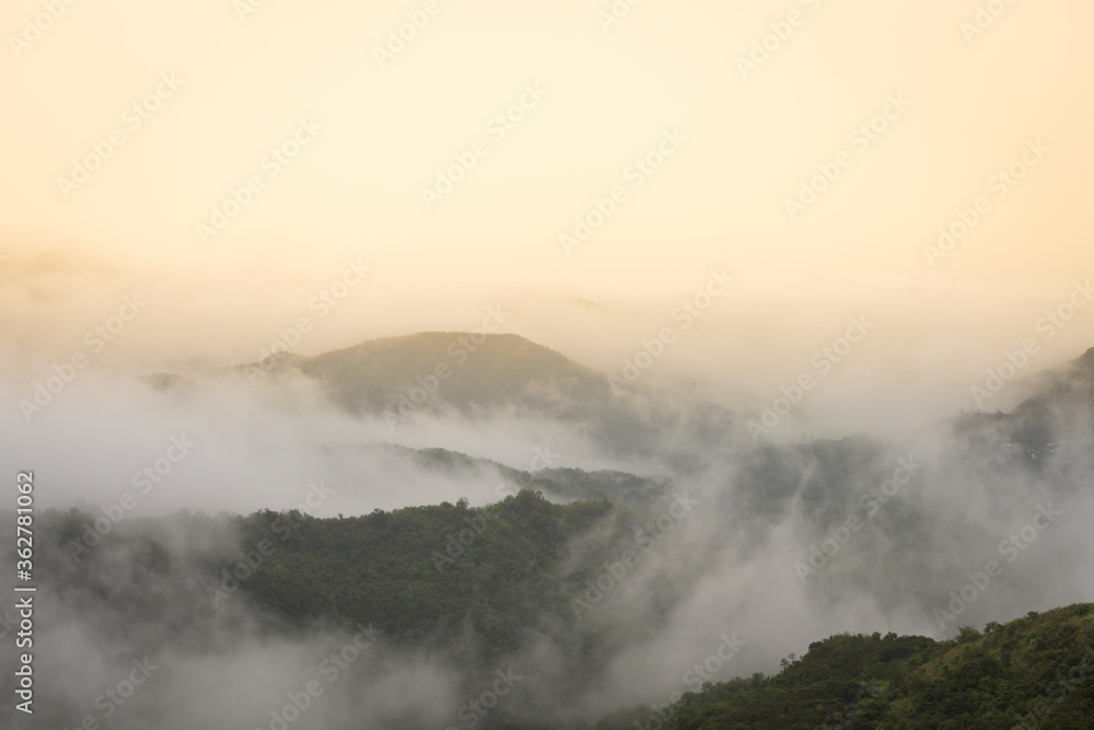 Landscape of mist in the morning. Landscape of mist in the morning.