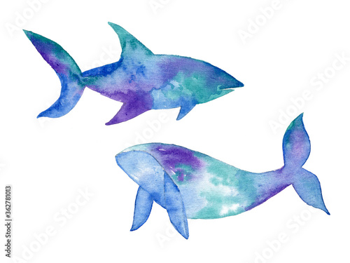 Hand Painting Abstract Watercolor Pastel Colors Whale and Shark Sea Creatures Design Materials Set Pattern Isolated Background