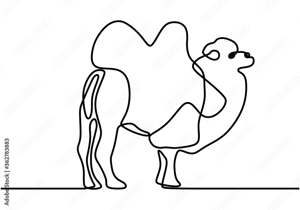 Camel Drawing & Sketches For Kids - Kids Art & Craft