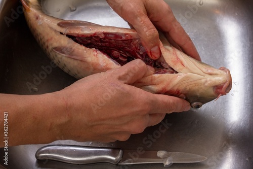 Carp food cooking and fish ...