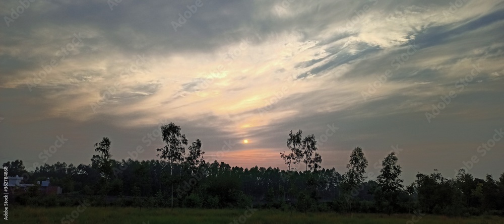 Naklejka premium sunset over the field