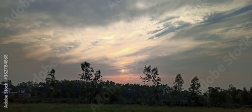 sunset over the field