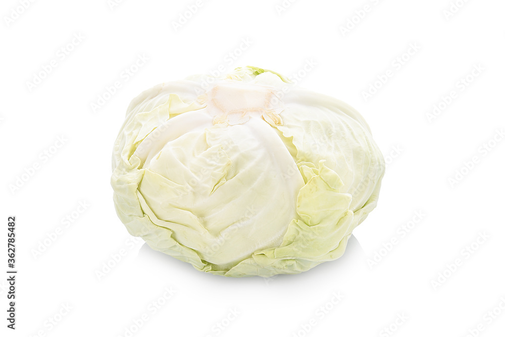 fresh cabbage isolated on white background fresh cabbage isolated on white background