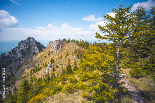 Hiking in slovakia moutains. View from the hills. Ostra, tlsta Peak, Velka Fatra. Slovakia photo