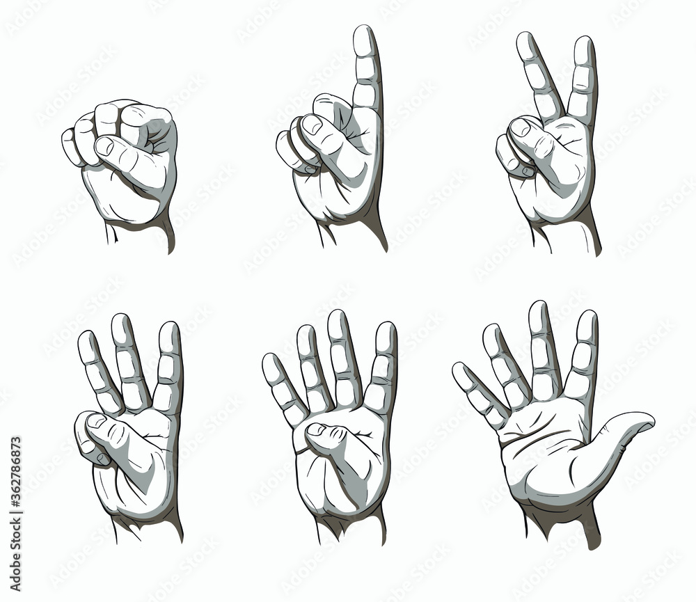 Fototapeta premium Men's hand palm counting in gesture with fingers one, two, three, four, five, hand drawn vector illustration in contrast grayscale cartoon style