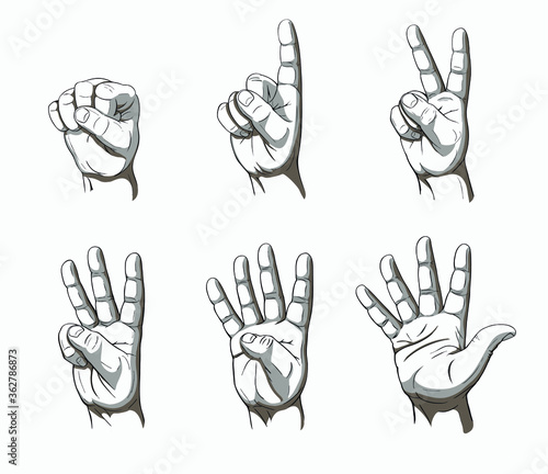 Men's hand palm counting in gesture with fingers one, two, three, four, five, hand drawn vector illustration in contrast grayscale cartoon style