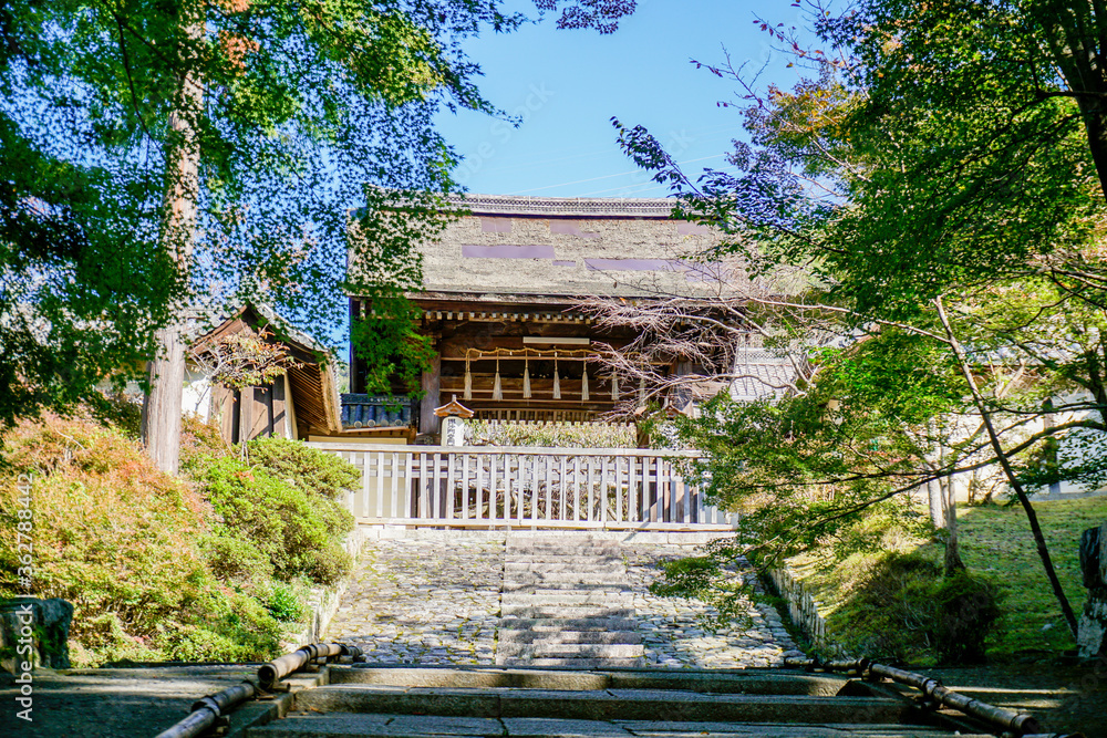 Fototapeta premium 京都 毘沙門堂