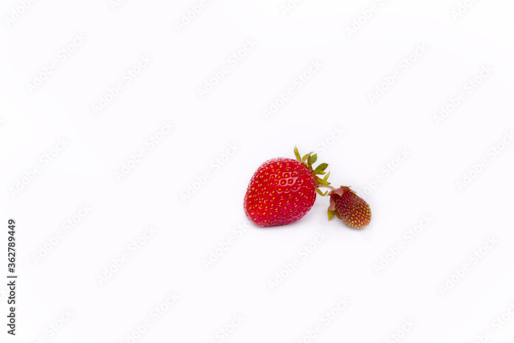 juicy strawberries next to dry and non-juicy isolated on a white background juicy strawberries next to dry and non-juicy isolated on a white background